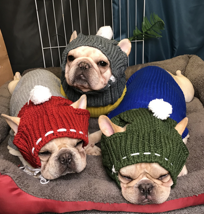 Winter Woolen Hat for French Bulldog - Frenchie Bulldog Shop