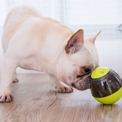 IQ Treat ball interactive food egg (WS68) - Frenchie Bulldog Shop