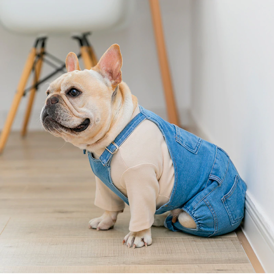 Frastøde transportabel stress Jean Overalls Clothes Jeans Jumpsuit for French Bulldog (WS67) – frenchie  Shop