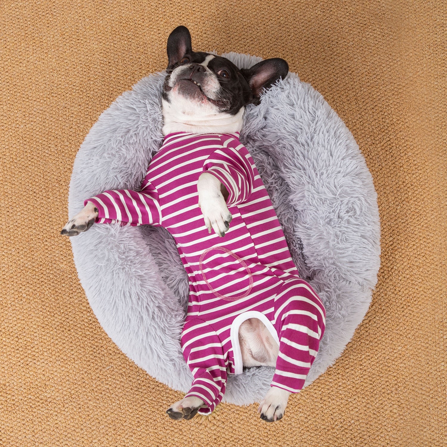 Pajamas for french discount bulldogs