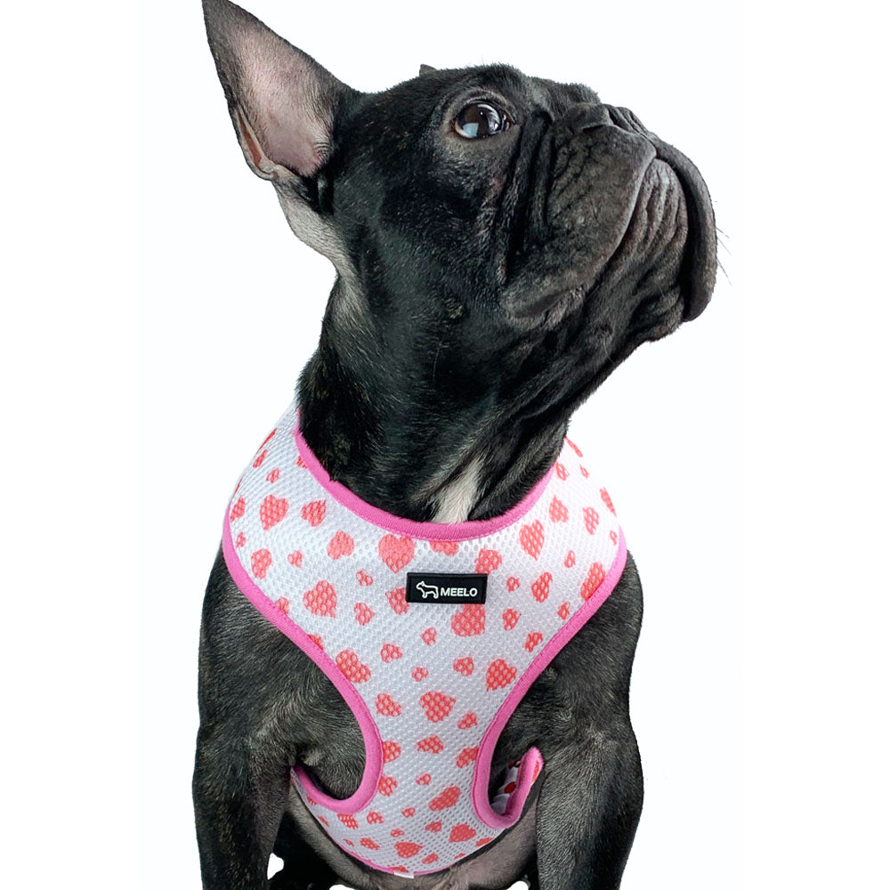 Frenchie.shop