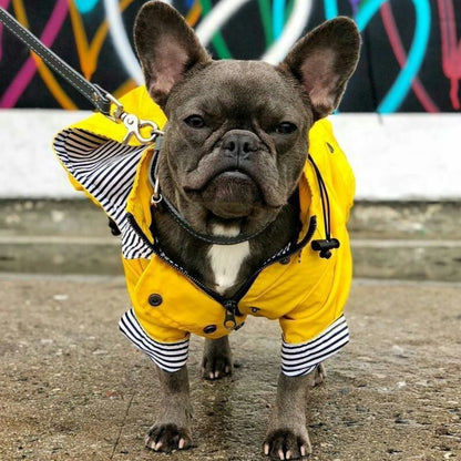 Cooper - French Bulldog Raincoat (WS123) - Frenchie Bulldog Shop