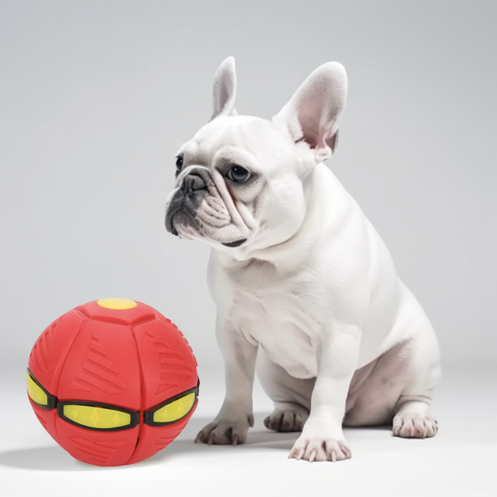 https://www.frenchie.shop/cdn/shop/products/ball2.png?v=1682188475