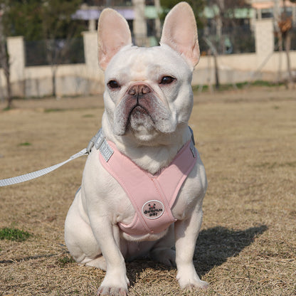 Refleciere Frenchie Breathable Harness Leash Set - Frenchie Bulldog Shop