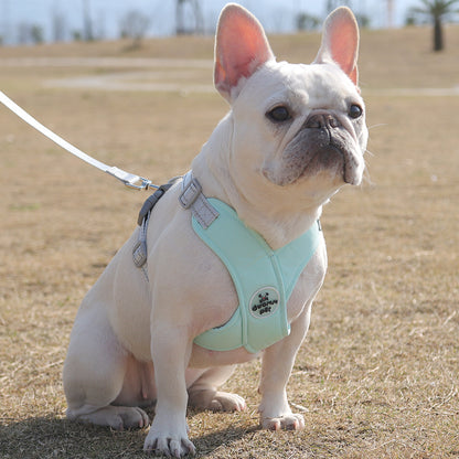 Refleciere Frenchie Breathable Harness Leash Set - Frenchie Bulldog Shop