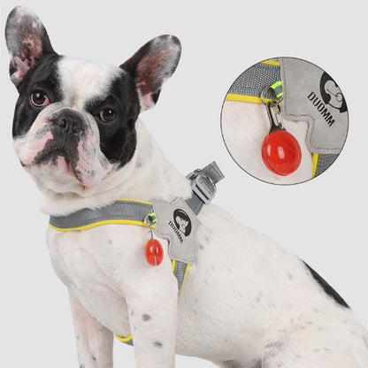 LightLatch No pull Frenchie Reflective Harness - Frenchie Bulldog Shop