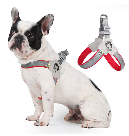 LightLatch No pull Frenchie Reflective Harness - Frenchie Bulldog Shop