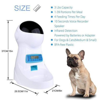 Smart Frenchie Food Feeder - Frenchie Bulldog Shop