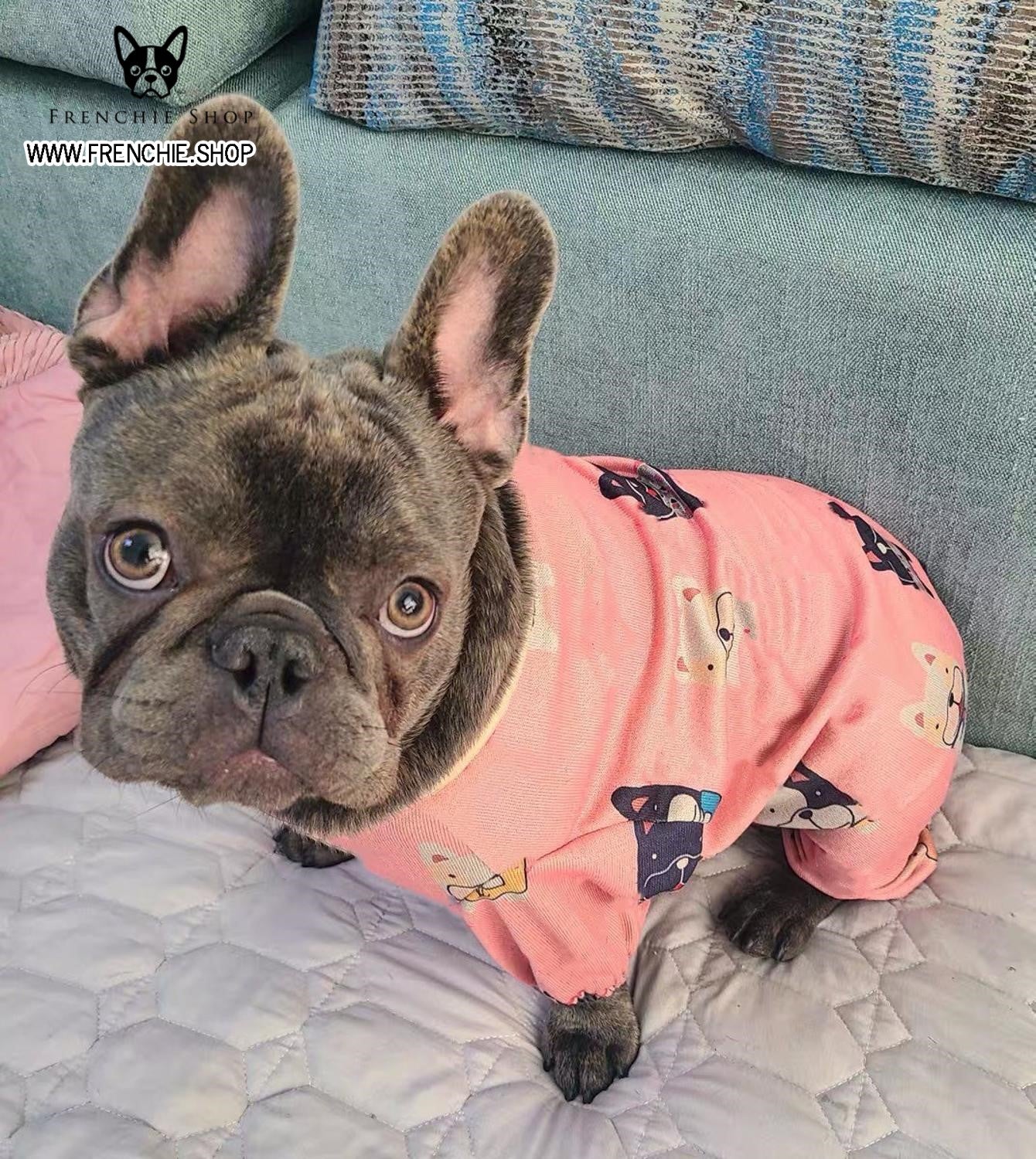 Cute store frenchie clothes