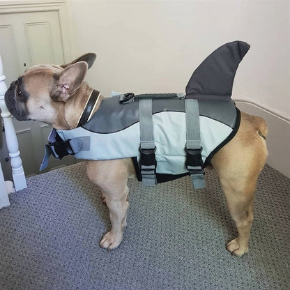 Jacket Swimwear for French bulldogs : Shark life vest (WS57) - Frenchie Bulldog Shop