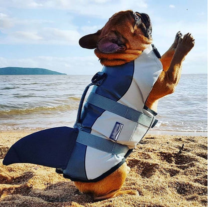 Jacket Swimwear for French bulldogs : Shark life vest (WS57) - Frenchie Bulldog Shop