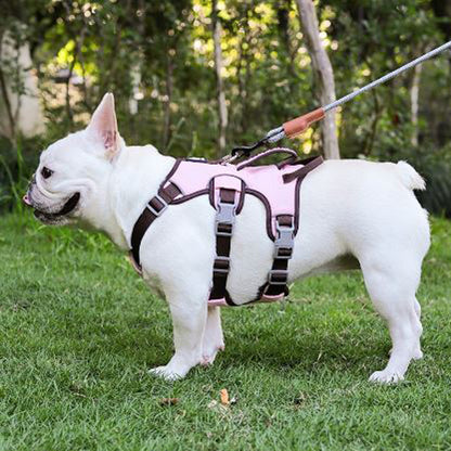 Premium No Pull Frenchie Harness: Reflective Chest Strap for Night Safety - Frenchie Bulldog Shop