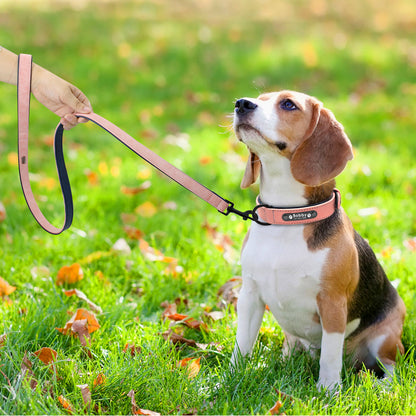 Personalised Collar with Leash - Frenchie Bulldog Shop