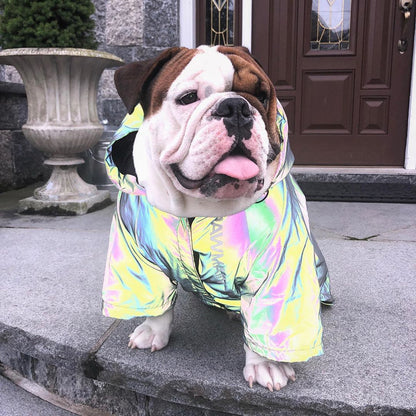 Reflective French Bulldog Jacket (WS39) - Frenchie Bulldog Shop