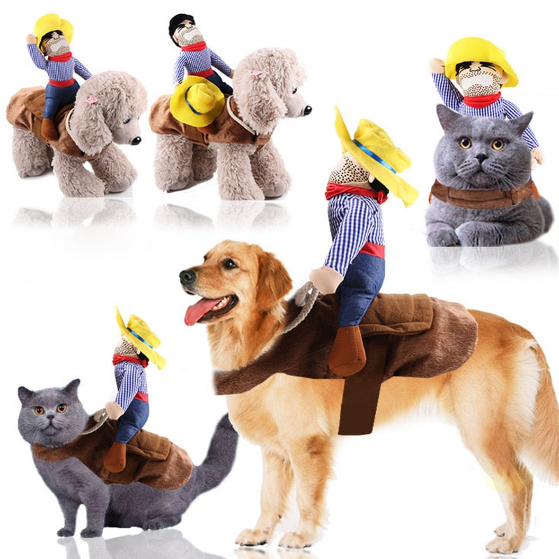 Rodeo rider clearance dog costume