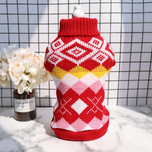 Knitted Winter Sweater for French Bulldog – frenchie Shop