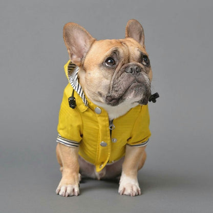 Cooper - French Bulldog Raincoat (WS123) - Frenchie Bulldog Shop