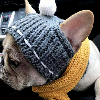 Winter Woolen Hat for French Bulldog - Frenchie Bulldog Shop