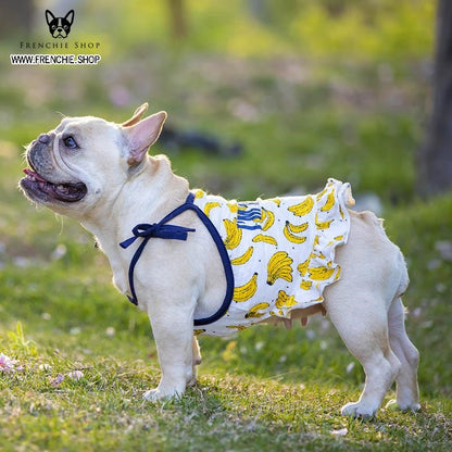 Fruit Print Frenchie Summer Dress (W322) - Frenchie Bulldog Shop