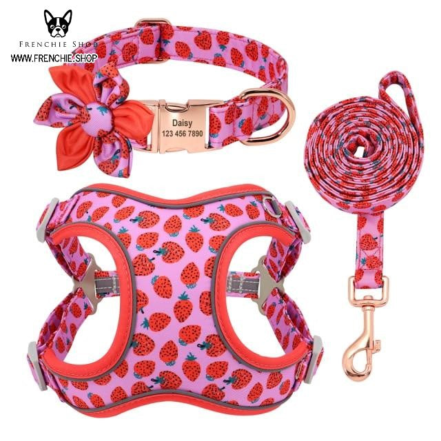 FruitFido Frenchie Breathable Harness – frenchie Shop