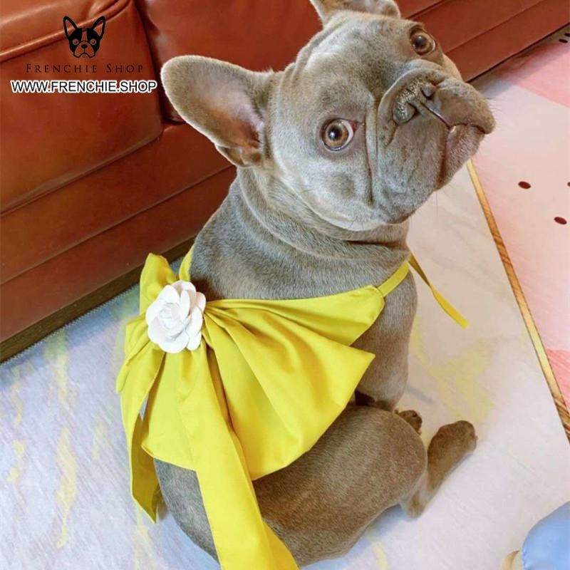 Frenchie dress on sale