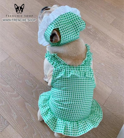 Frenchie Summer Outfit Elegent Pet Dress (W311) - Frenchie Bulldog Shop