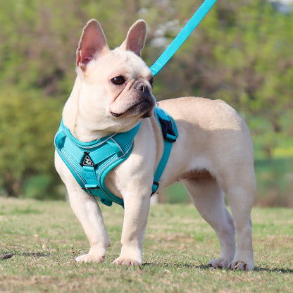 Reluxy™ -French Bulldog Harness Leash Set (WK01) - Frenchie Bulldog Shop