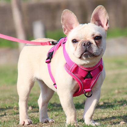 Reluxy™ -French Bulldog Harness Leash Set (WK01) - Frenchie Bulldog Shop