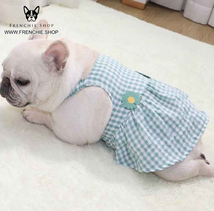 Clothes for Frenchies Girls – frenchie Shop