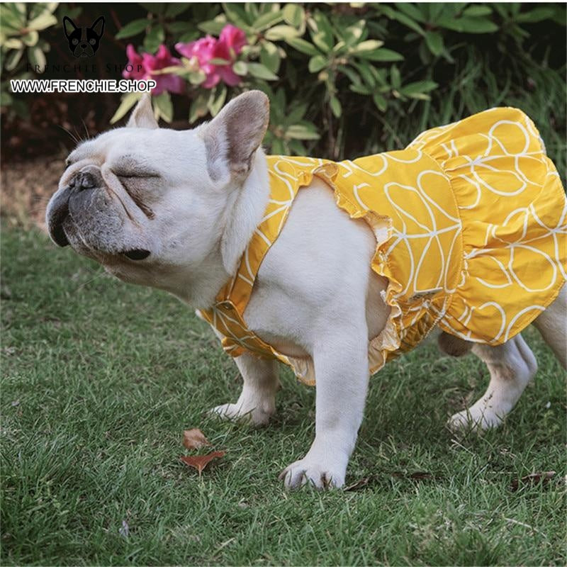 Frenchie dress on sale