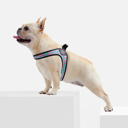 Easy-Walk™ - No Pull French Bulldog Harness (WS601) – frenchie Shop