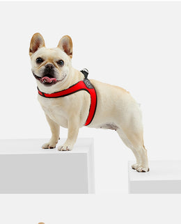 Easy-Walk™ - No Pull French Bulldog Harness (WS601) – frenchie Shop