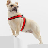 Easy-Walk™ - No Pull French Bulldog Harness (WS601) – frenchie Shop