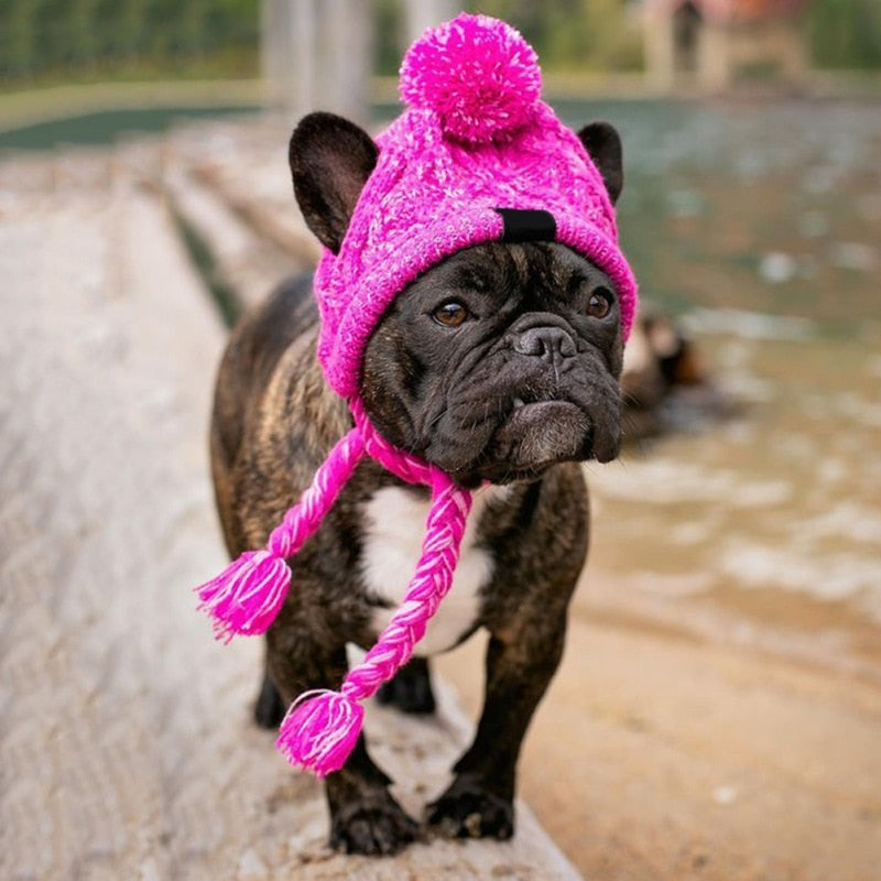 Winter Knitted Hat for French Bulldog Best Frenchie Beanie