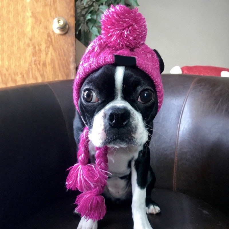 Winter Knitted Hat for French Bulldog Best Frenchie Beanie frenchie Shop
