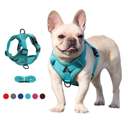 Reluxy™ -French Bulldog Harness Leash Set (WK01) - Frenchie Bulldog Shop