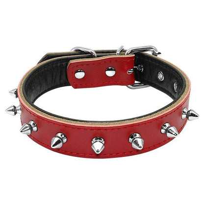 Adjustable Collars (WS61) - Frenchie Bulldog Shop