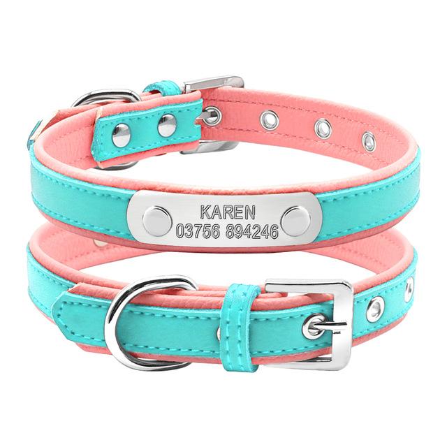 Personalized French Bulldog Collar – frenchie Shop