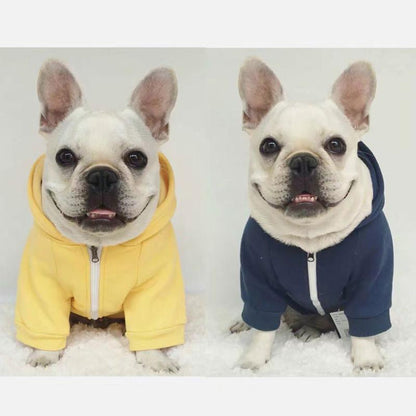 Warm Hoodie for Frenchies (CS6) - Frenchie Bulldog Shop