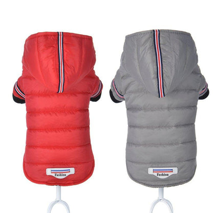 Winter Waterproof Coat For French Bulldog (WS14) - Frenchie Bulldog Shop