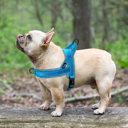 Quick Fit Harness (WS86) - Frenchie Bulldog Shop