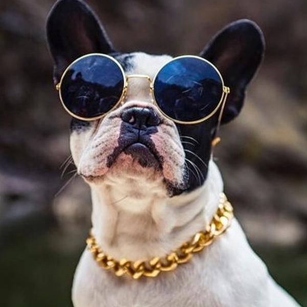 French bulldog clearance jewelry for sale