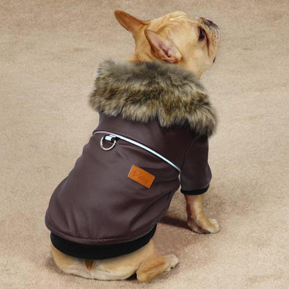 Stylish Leather Coat for French Bulldog (WS74) - Frenchie Bulldog Shop