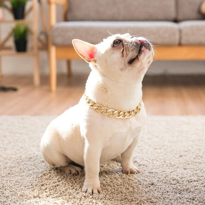 Adjustable Necklace for frenchies (WS69) - Frenchie Bulldog Shop