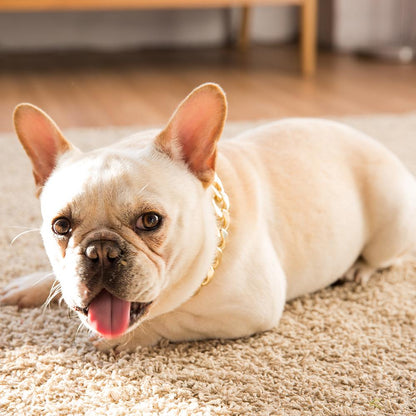 Adjustable Necklace for frenchies (WS69) - Frenchie Bulldog Shop