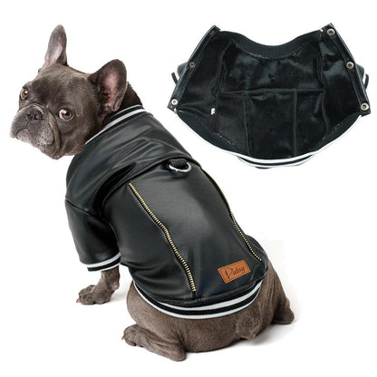 Leather French Bulldog Jacket (WS13) – frenchie Shop