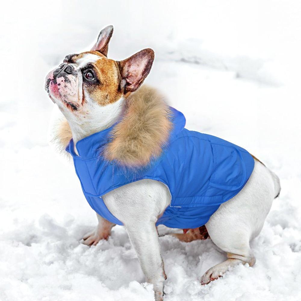 Waterproof Coat for french bulldog - frenchie Shop