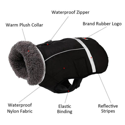 Warm Coat for frenchie (CS1) - Frenchie Bulldog Shop