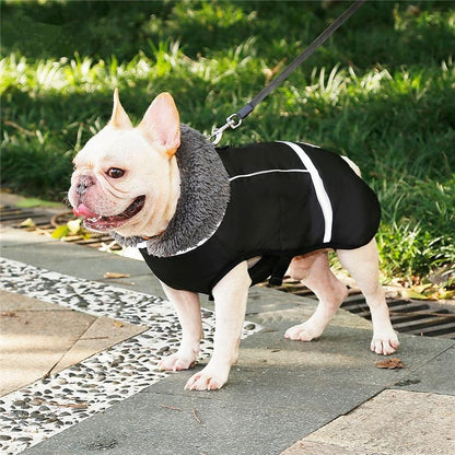 Warm Coat for frenchie (CS1) - Frenchie Bulldog Shop