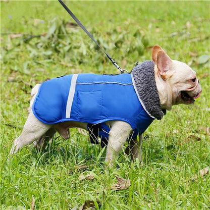 Warm Coat for frenchie (CS1) - Frenchie Bulldog Shop